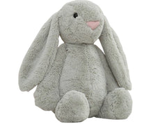 Load image into Gallery viewer, Plush Bunny
